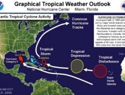 Cyclone Rake Accessories For Effortless Lawn Care