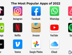 App Developer Near Me Find Your Perfect Match Today