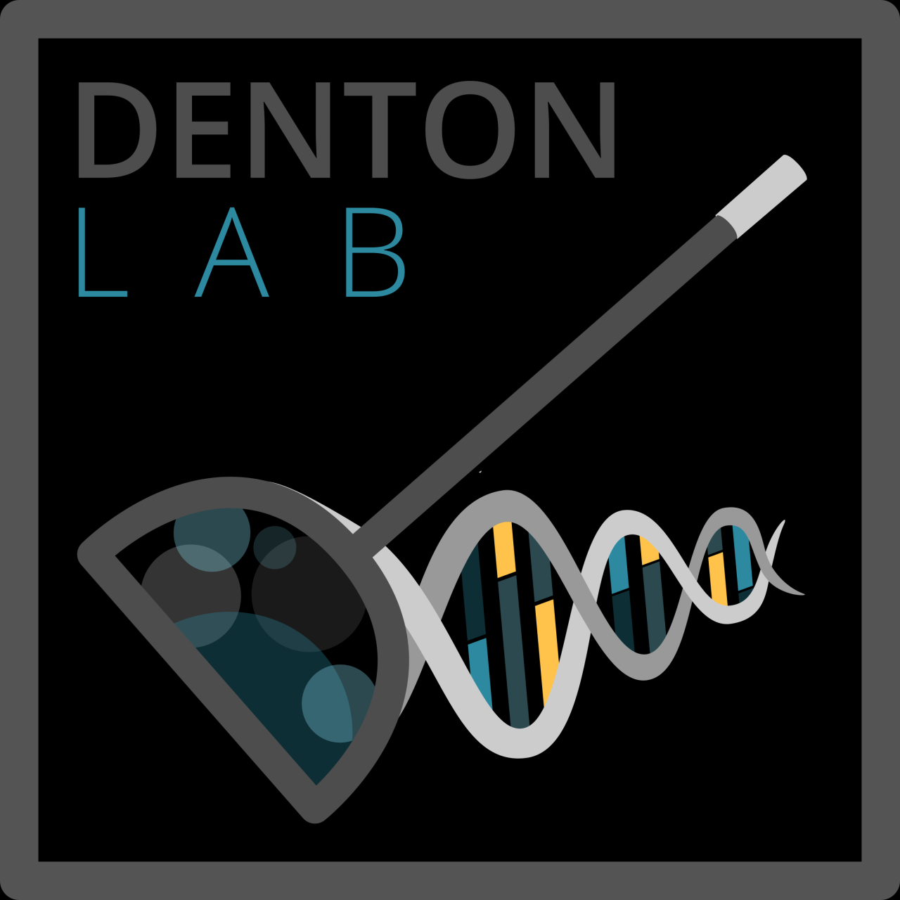 Lab Info – Denton Lab
