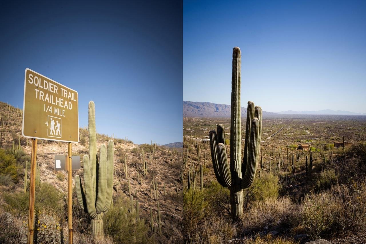 Arizona X Superstar 'Have An Iced Day Teal White' - Adidas - GZ2871 ... Arizona X Superstar 'Have An Iced Day Teal White' - Adidas - GZ2871 ...