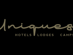 Coupons For Serengeti Fashions Unleash Your Style