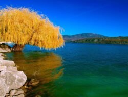 Full sail fashion design where creativity meets style