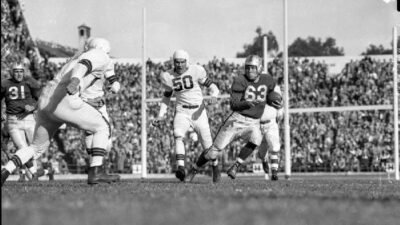 Frankie Rose Cosmetics Discount Code For Glowing Beauty