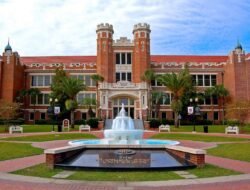 University Of North Texas Fashion Merchandising Insights