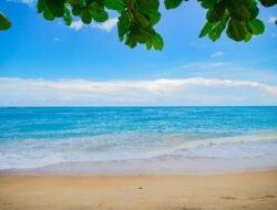 Beauty Salon Point Of Sale Software For Seamless Management