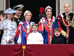 Royal Canin Development Puppy The Perfect Start For Pups