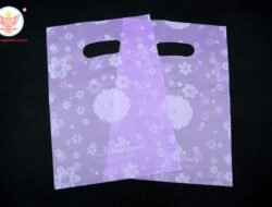 Die Cut Handle Plastic Bags Elevate Your Brand