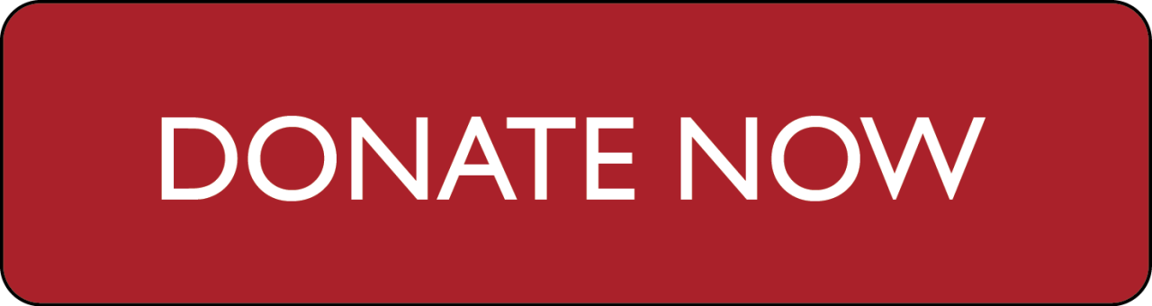 Archive 2011 - Addiction and Art.org