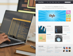 drupal developers near me Find Your Perfect Team