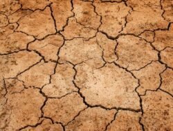 Natural Beauty Group Coupon Code Unleash Your Glow