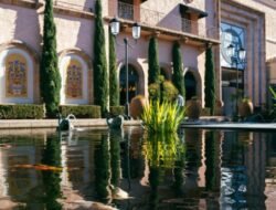 fashion island alo Discover Your Style Paradise Today