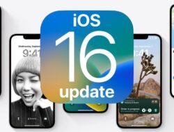 Ios Developers Near Me For Innovative Solutions