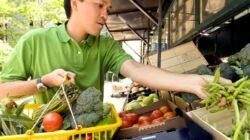 Free picture: man, shopping, market, vegetable