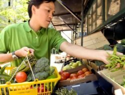 Shopping Bags Nearby Discover Convenience And Style