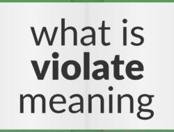 Violate The Dress Code Coupon For Ultimate Style