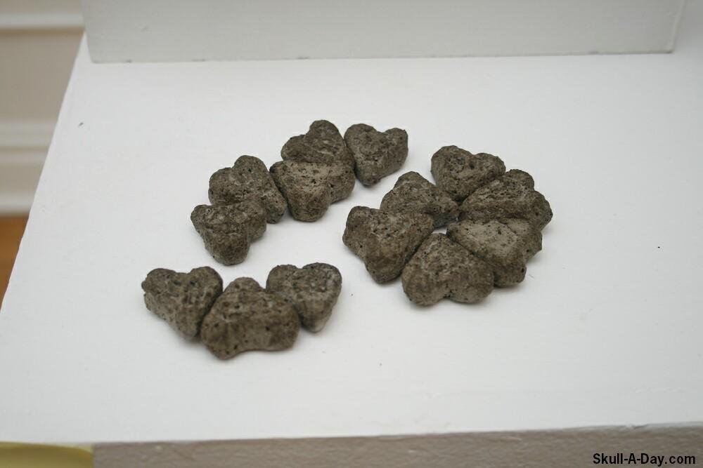 Đập Mica – Wikipedia tiếng Việt Đập Mica – Wikipedia tiếng Việt