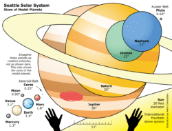 Planet Fitness Deals Now To Elevate Your Fitness Journey