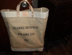 Apolis global citizen bag Your Perfect Travel Companion