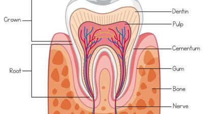 Teeth Cosmetics Near Me Discover Your Perfect Smile