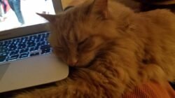 Taw's blog: October 2018