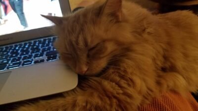 Taw's blog: October 2018