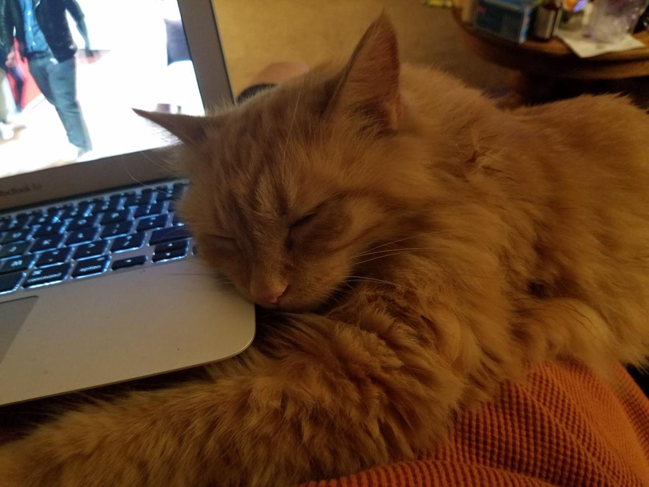 Taw's blog: October 2018