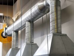 Local Web Developers Your Gateway To Digital Success